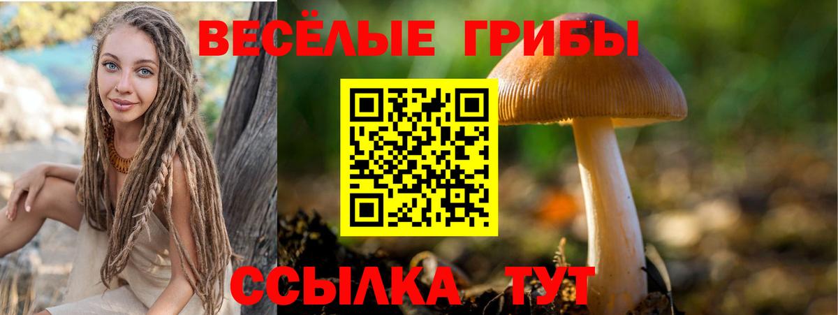 Псилоцибиновые грибы прущие грибы Ачинск
